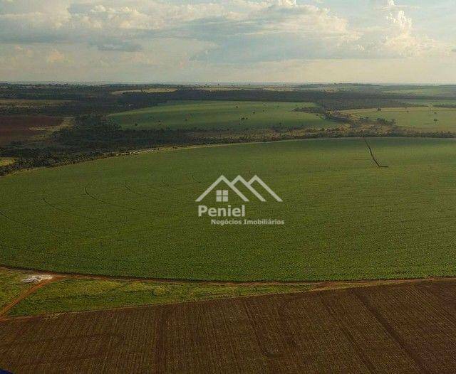 Fazenda à venda, 500m² - Foto 2