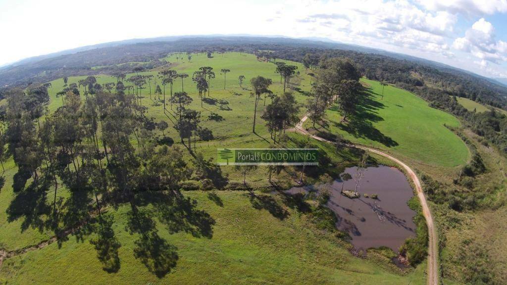 Fazenda à venda com 3 quartos, 1600m² - Foto 9