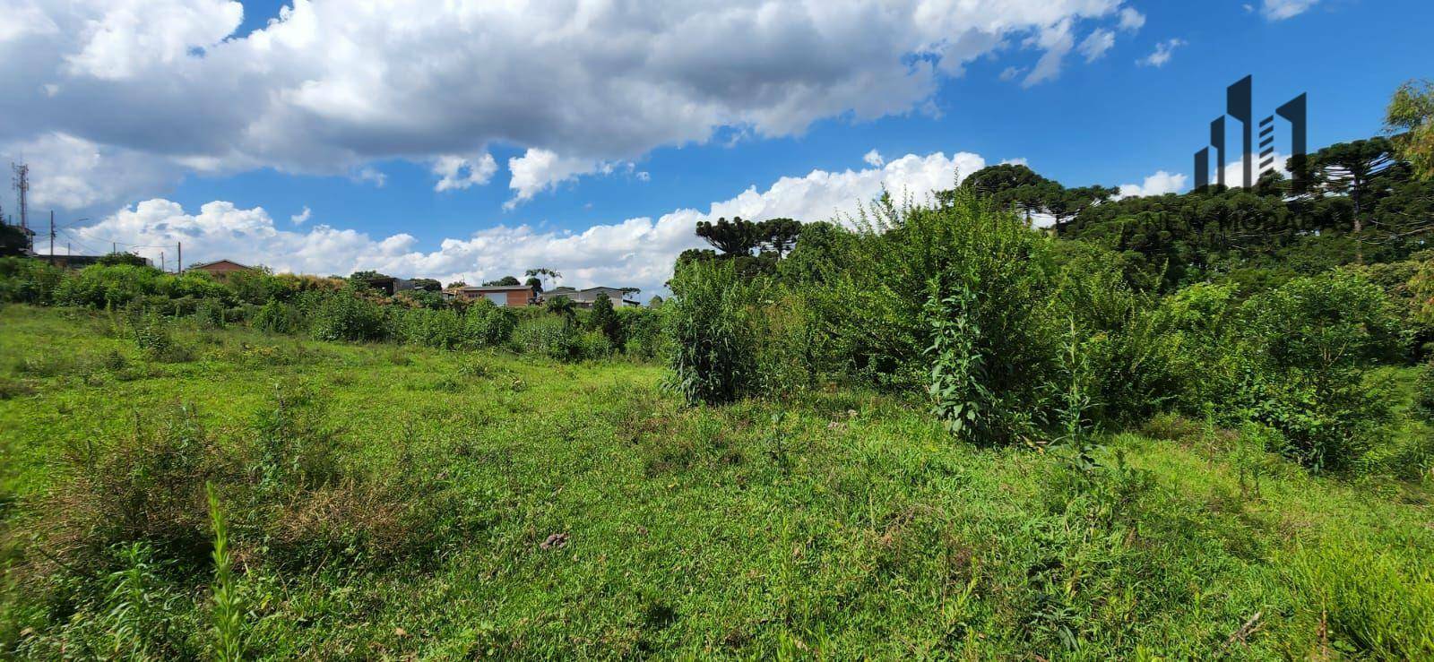 Terreno à venda, 15217M2 - Foto 13