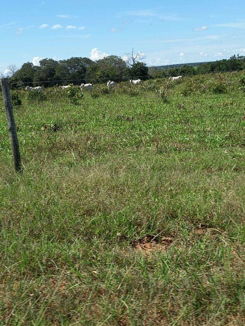 Fazenda à venda, 11610000M2 - Foto 11