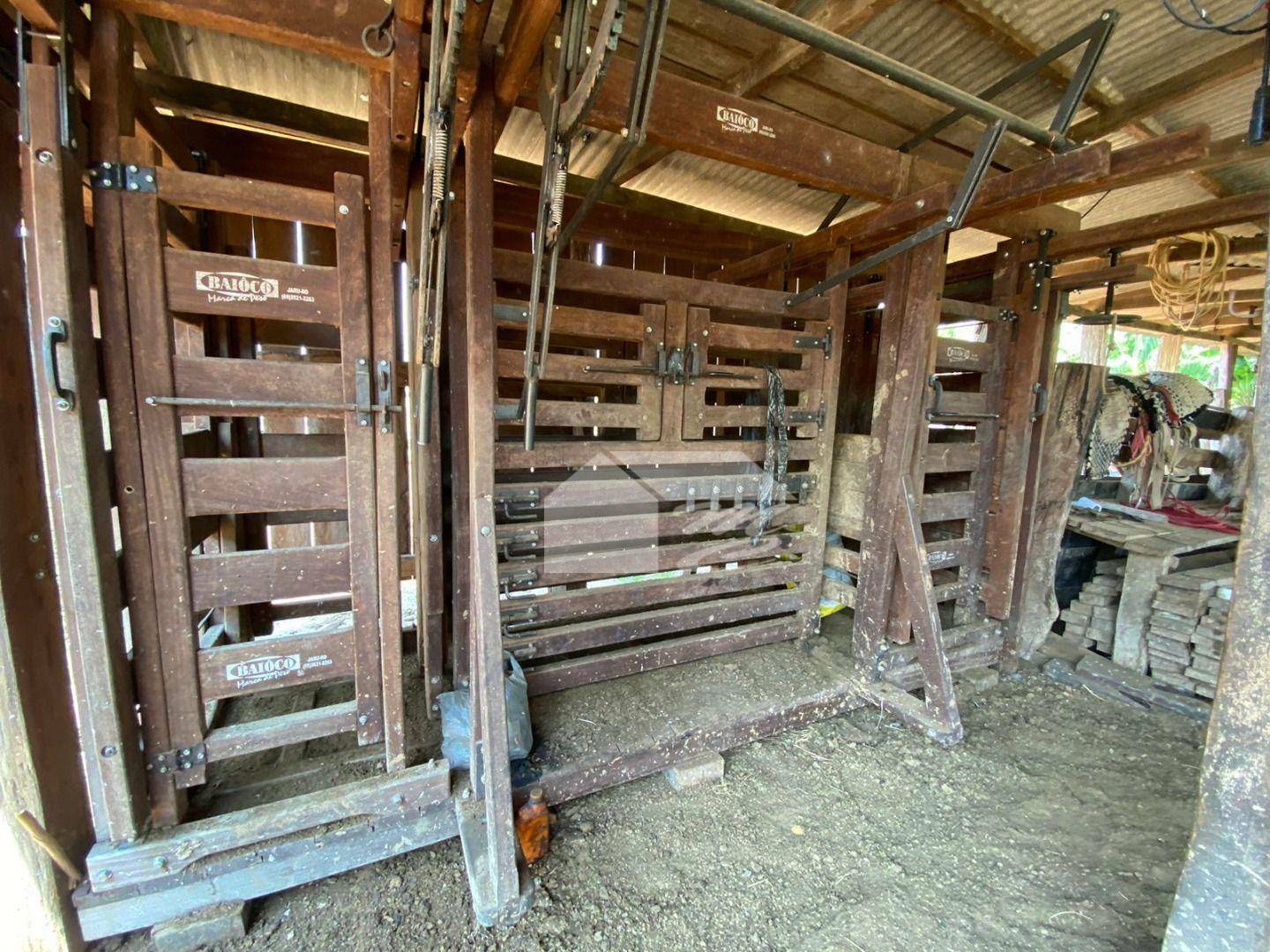 Fazenda à venda com 3 quartos, 2420000M2 - Foto 5