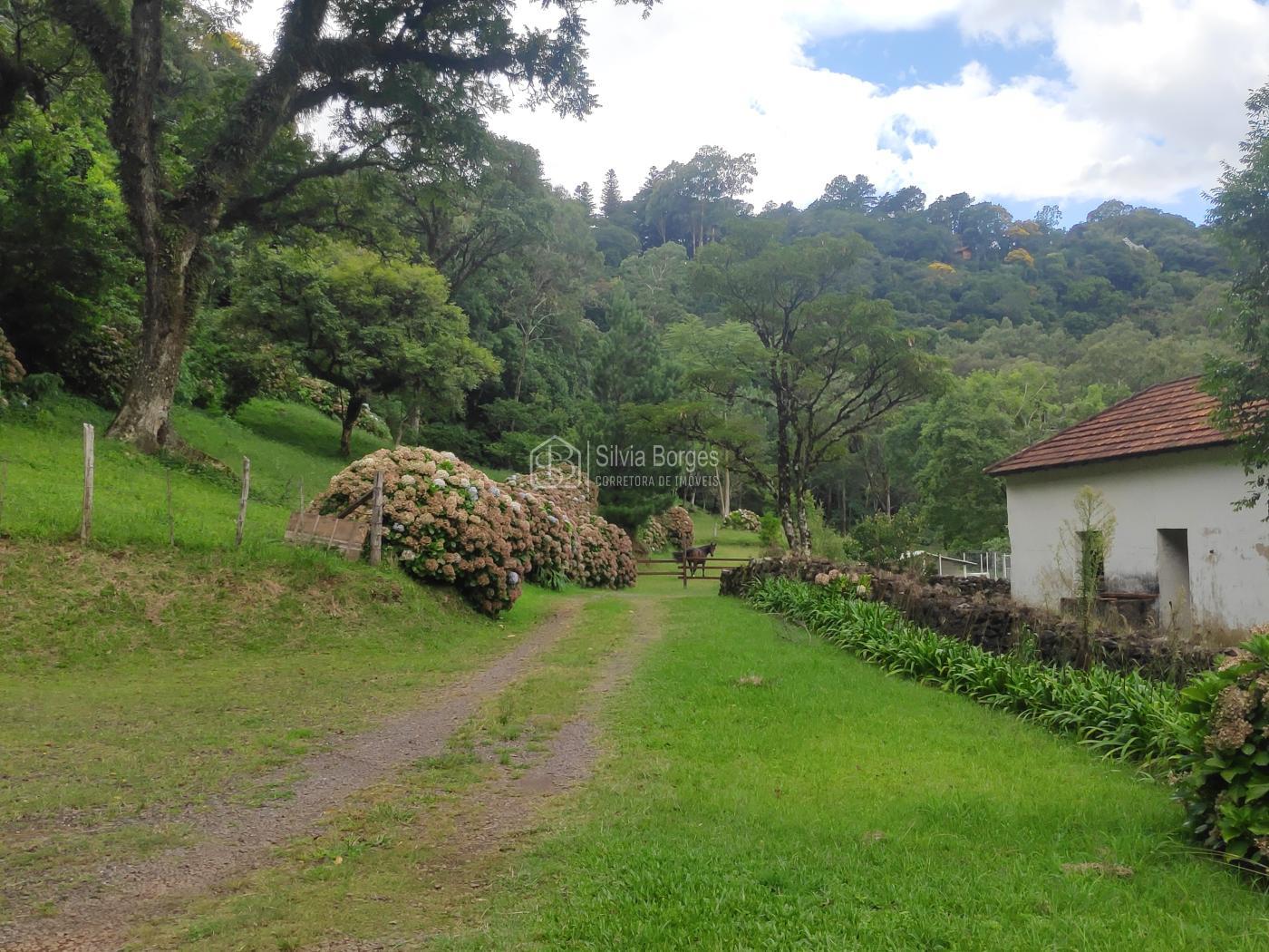 Fazenda à venda, 6900m² - Foto 47