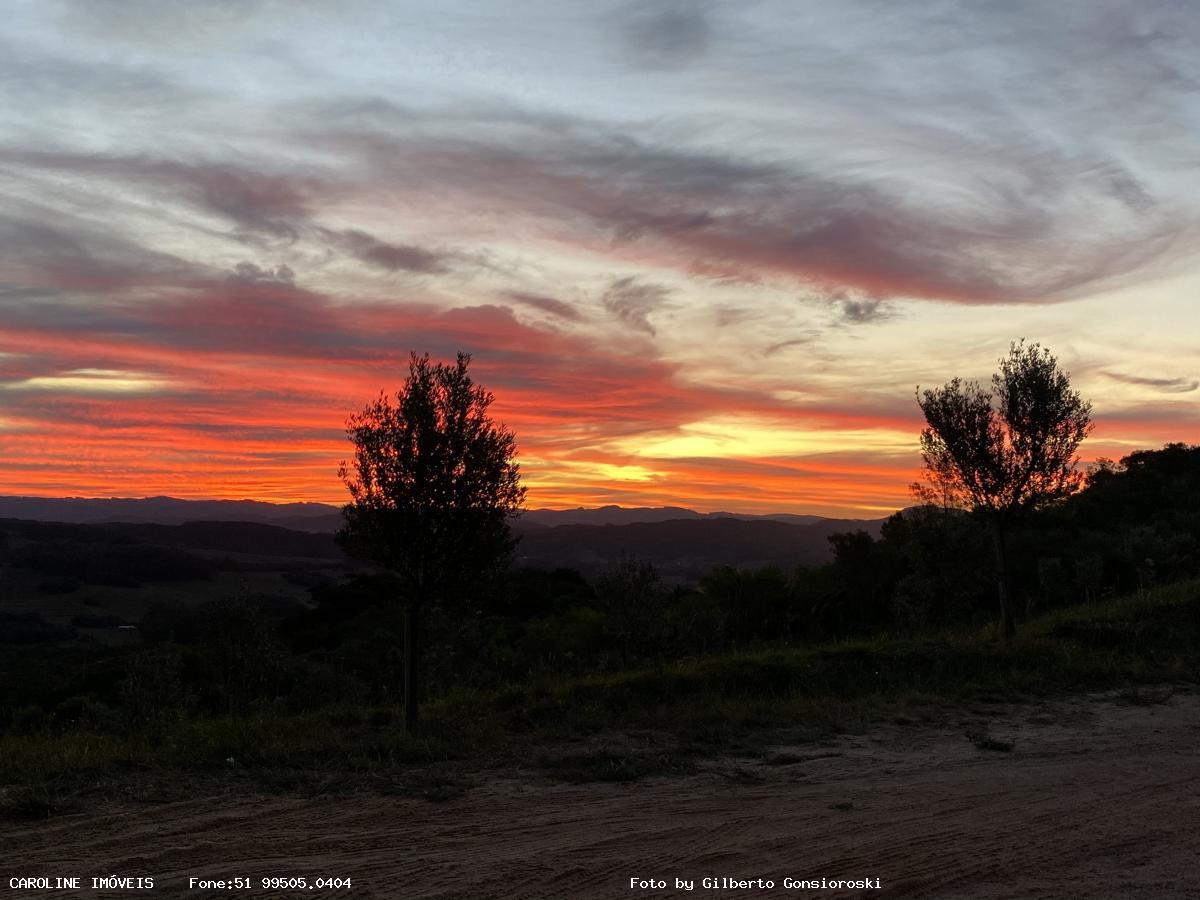 Fazenda à venda com 6 quartos, 493400m² - Foto 32