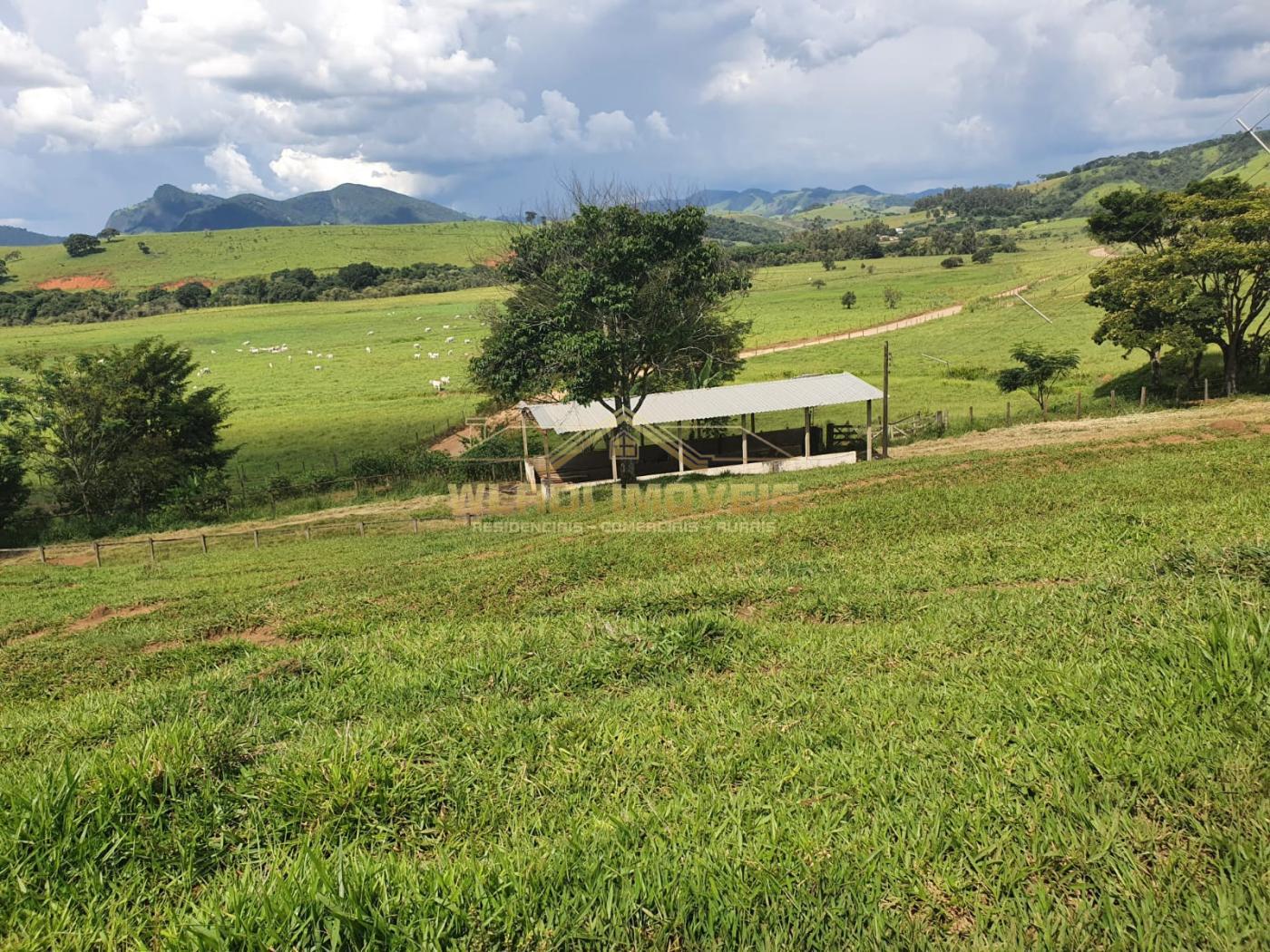 Fazenda à venda, 224m² - Foto 7