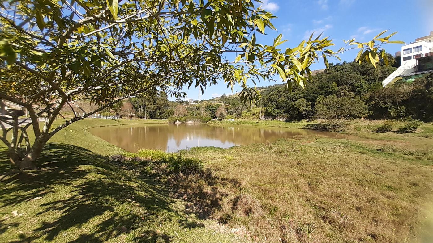 Terreno à venda com 3 quartos, 1854m² - Foto 13