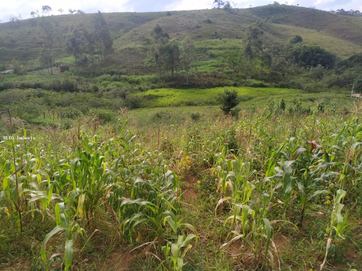 Terreno à venda, 2000m² - Foto 4