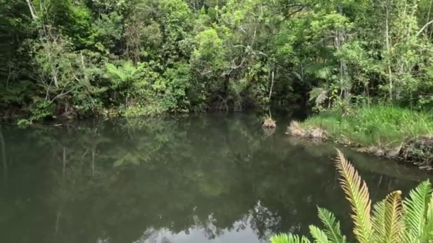 Sítio, 3 quartos, 30 hectares - Foto 36