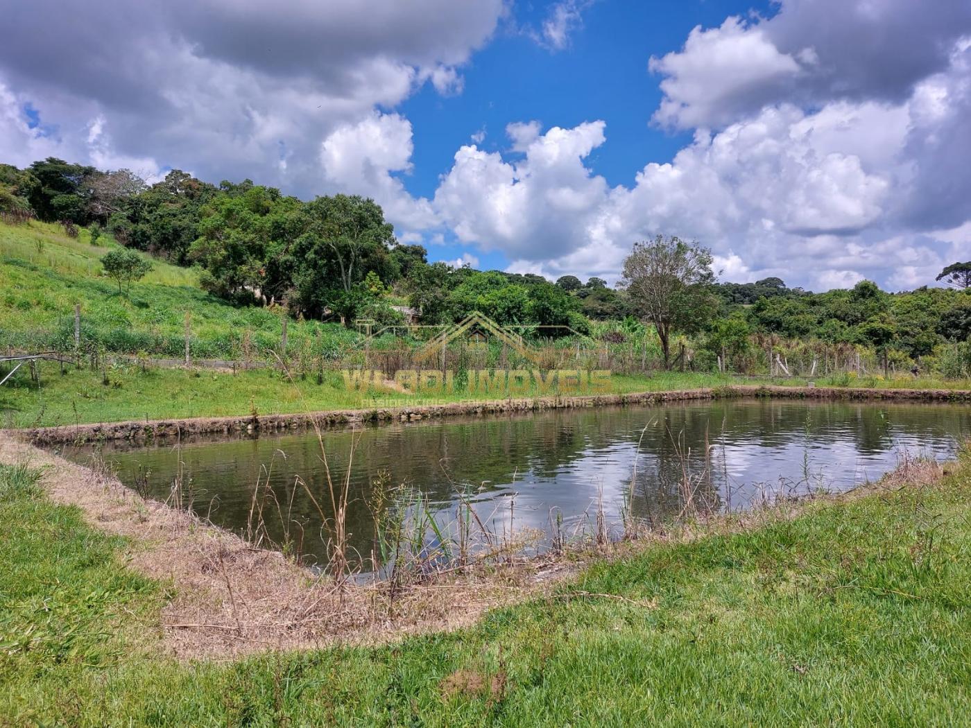 Fazenda à venda com 7 quartos, 15000m² - Foto 4