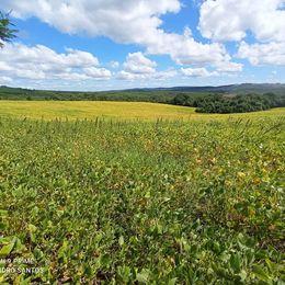 Fazenda à venda, 52m² - Foto 5