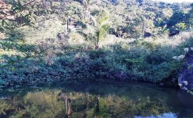 Fazenda-Sítio-Chácara, 14 hectares - Foto 3