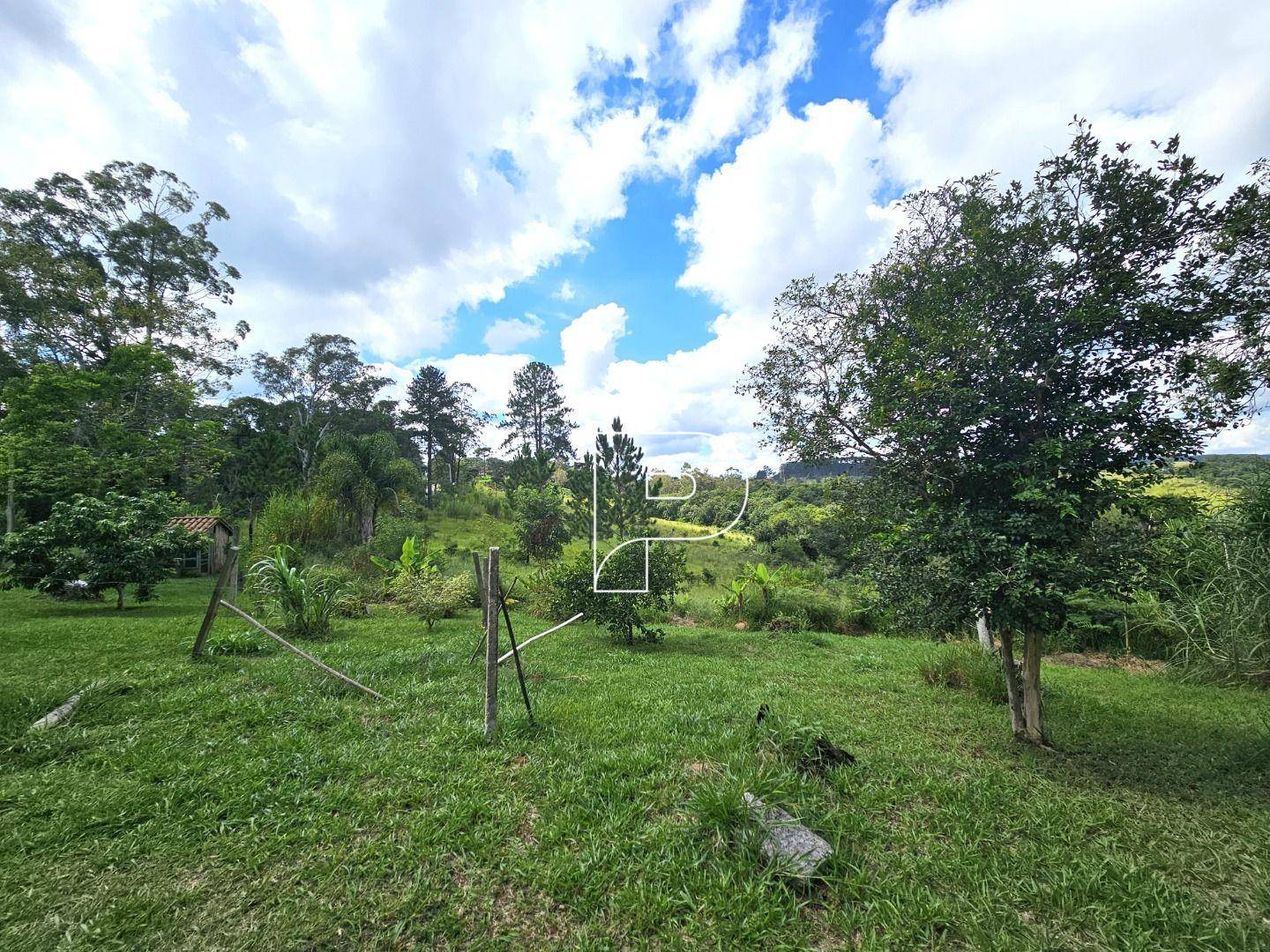 Terreno, 4 hectares - Foto 19