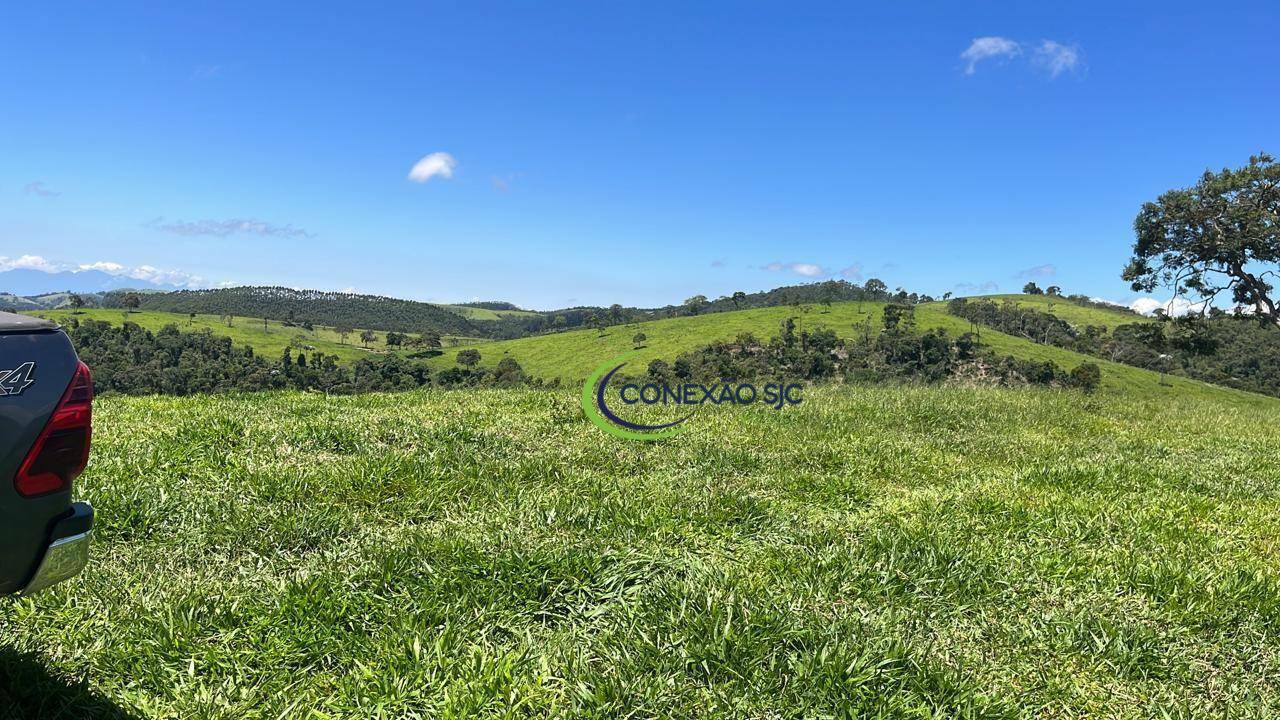 Fazenda à venda com 3 quartos, 3388000M2 - Foto 6