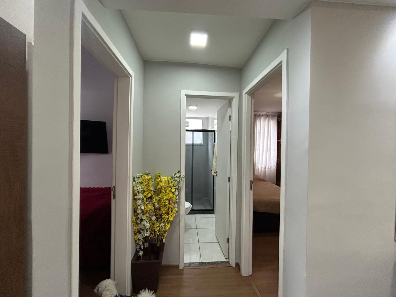 Apartamento à venda com 2 quartos, 55m² - Foto 15