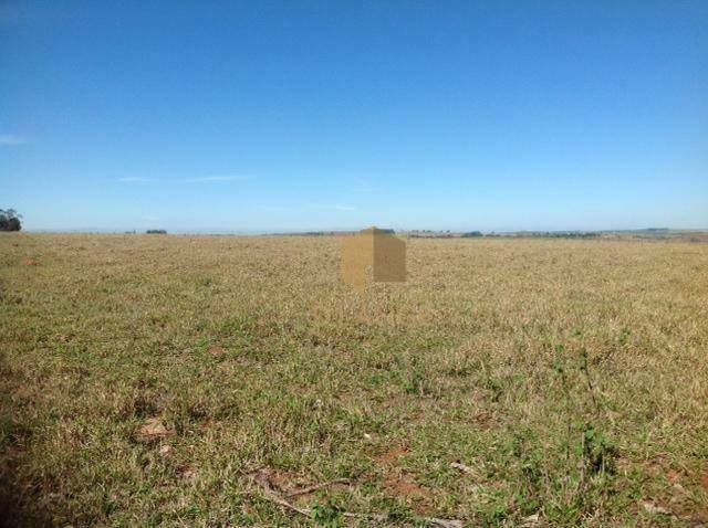 Fazenda à venda com 5 quartos, 1273000M2 - Foto 32