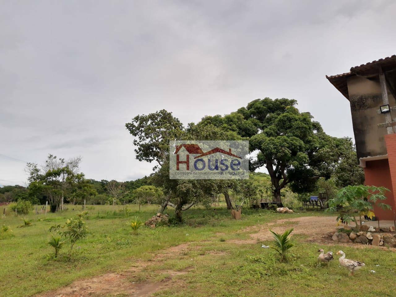 Terreno, 8000 m² - Foto 3