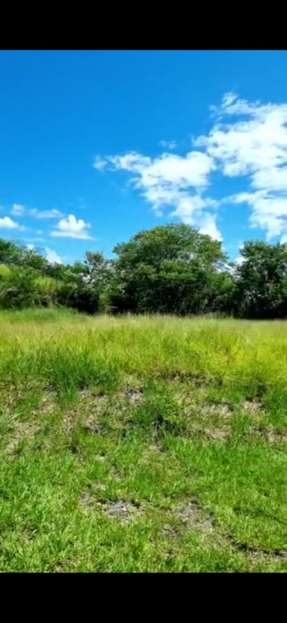 Terreno à venda, 1455m² - Foto 5