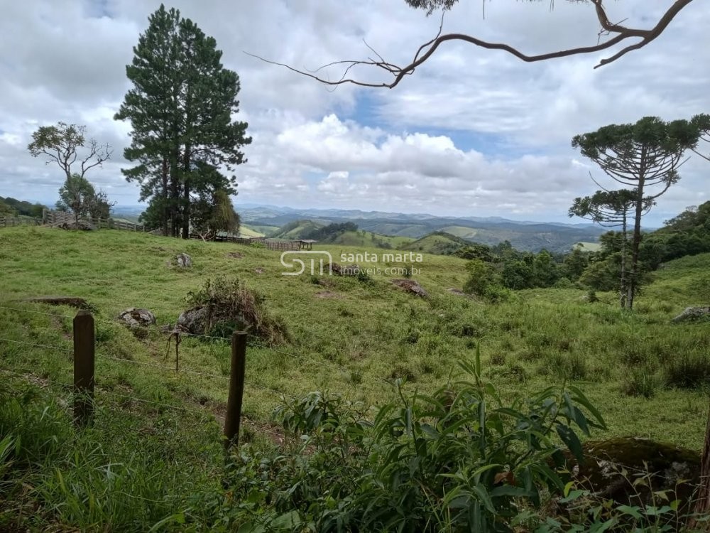 Fazenda à venda com 2 quartos, 24m² - Foto 58