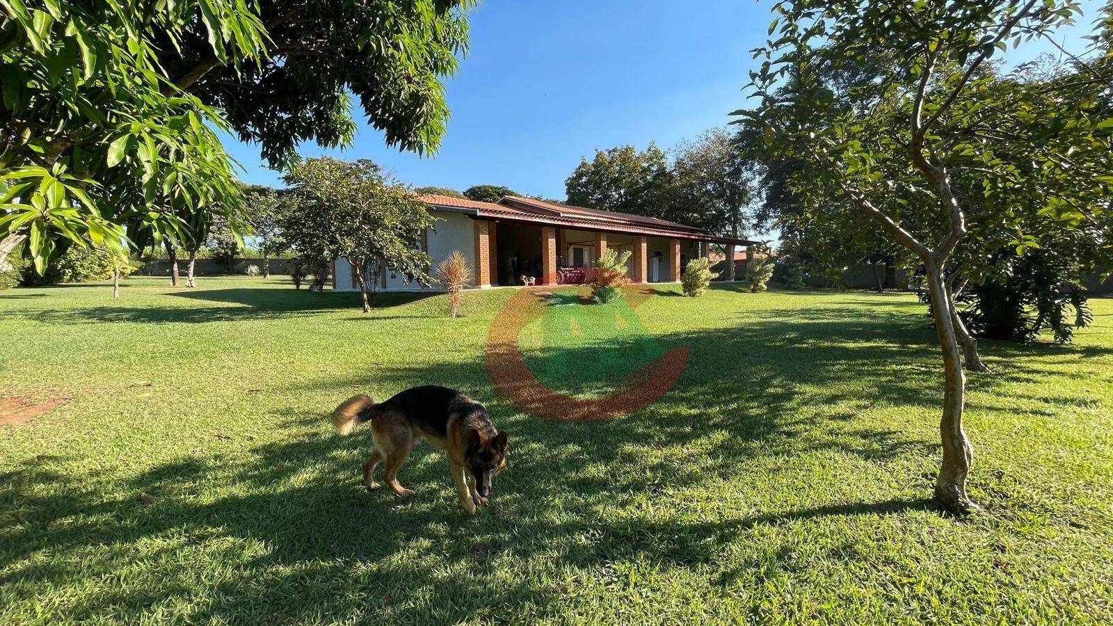 Chácara, 4 quartos, 5000 m² - Foto 10