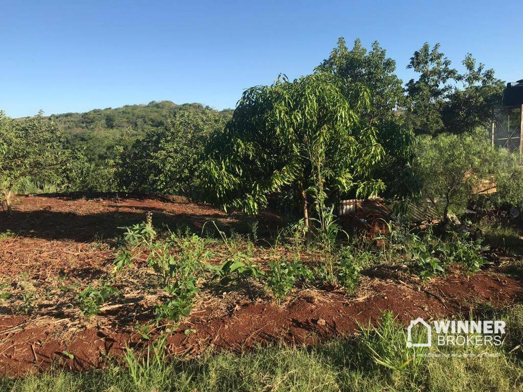 Chácara à venda com 1 quarto, 3000M2 - Foto 3