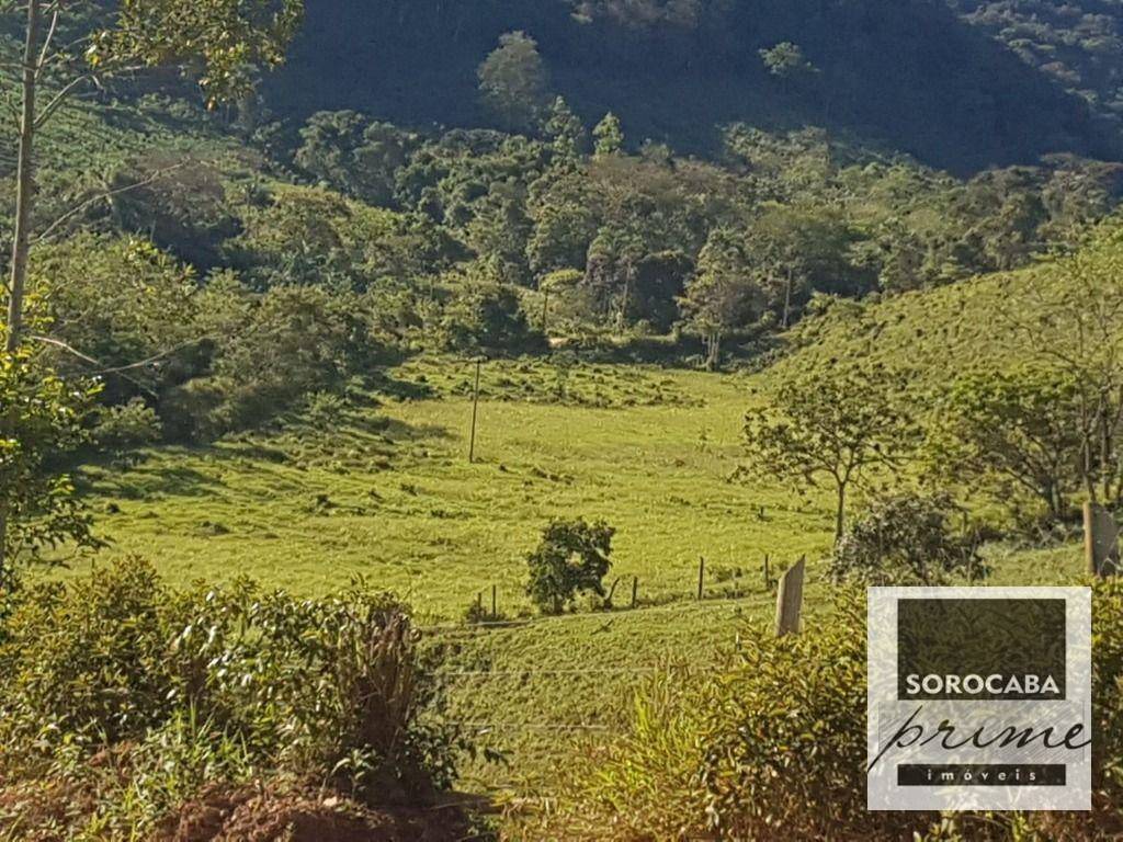 Fazenda-Sítio-Chácara, 20 hectares - Foto 4