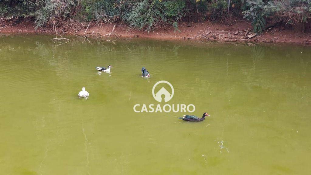 Loteamento e Condomínio à venda, 765M2 - Foto 18