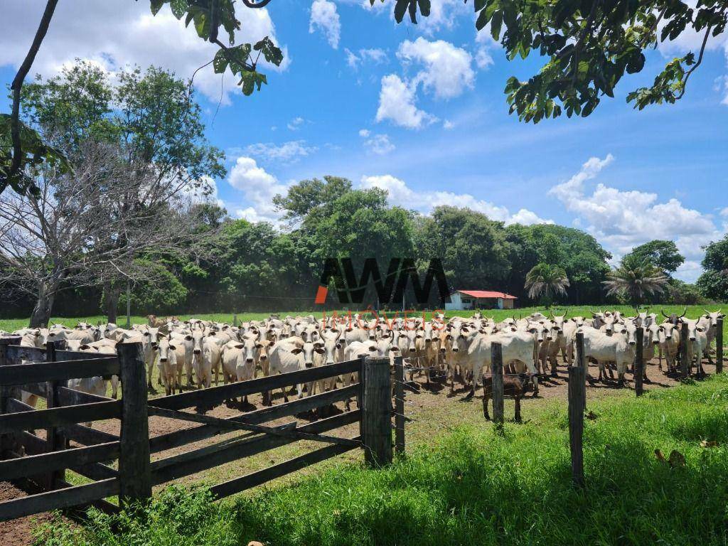 Fazenda à venda, 5234944M2 - Foto 1