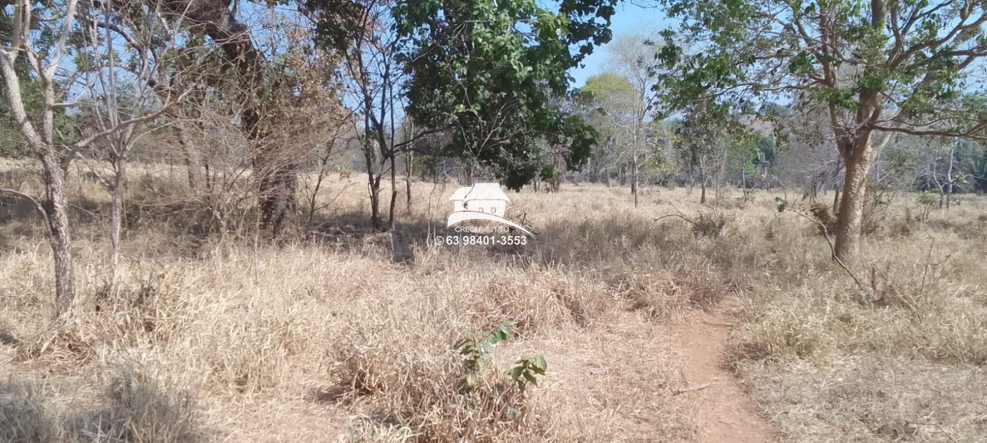 Fazenda à venda, 1m² - Foto 6