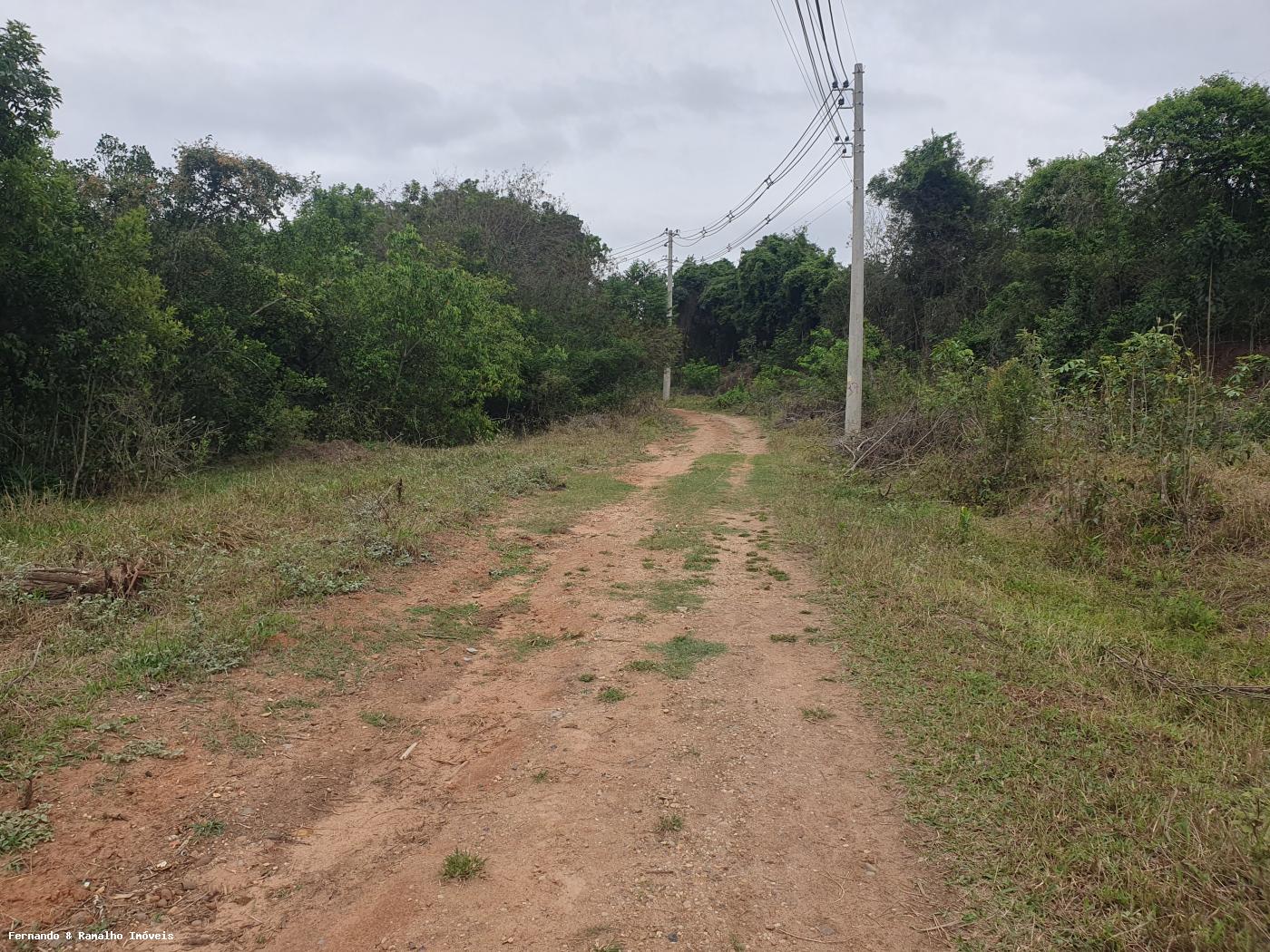 Fazenda à venda com 3 quartos, 80000m² - Foto 3