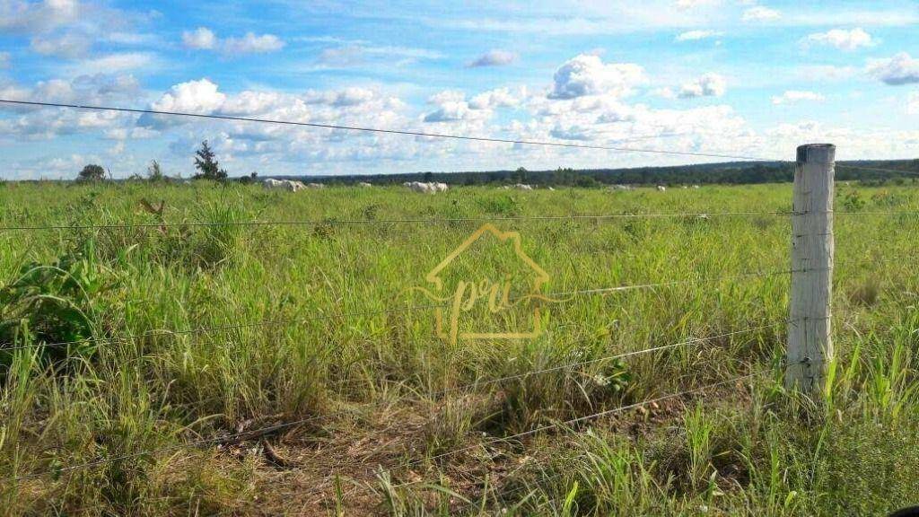 Fazenda à venda com 3 quartos, 250m² - Foto 7