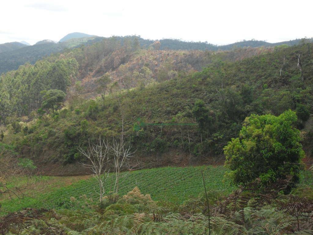 Loteamento e Condomínio à venda, 1024M2 - Foto 15