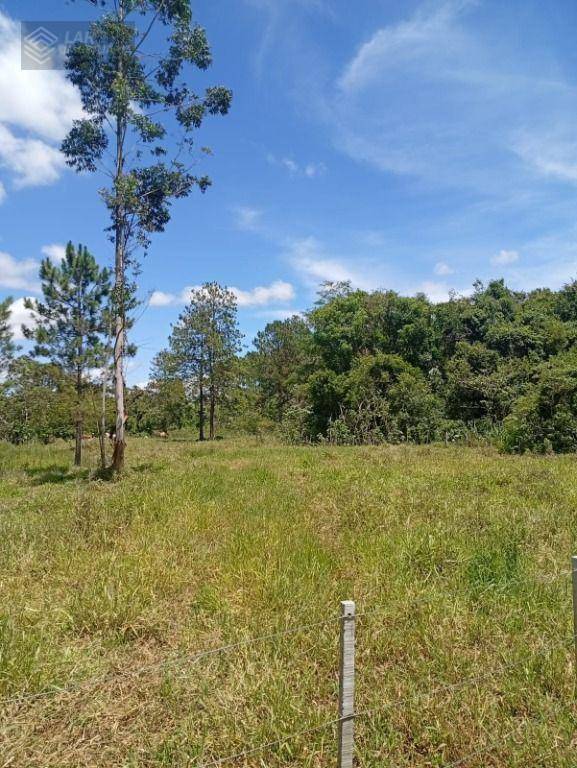 Terreno, 4 hectares - Foto 12