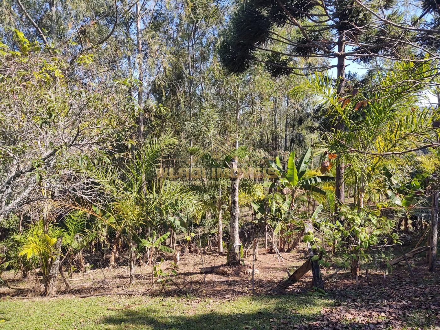 Fazenda à venda, 36000m² - Foto 19