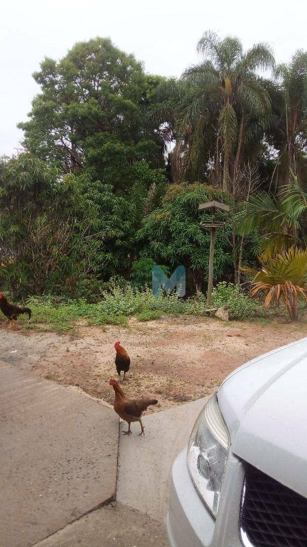 Chácara para alugar com 3 quartos, 100m² - Foto 9