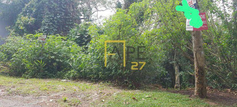 Terreno, 2000 m² - Foto 3