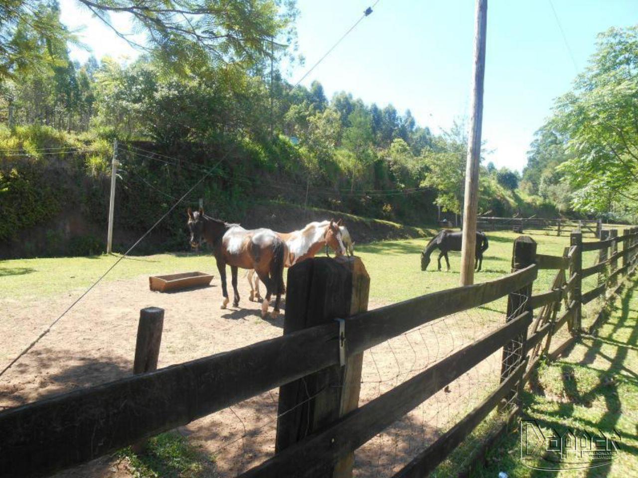 Chácara à venda - Foto 4