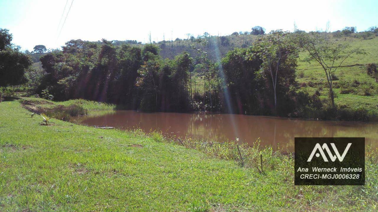 Chácara à venda com 3 quartos, 10000M2 - Foto 20