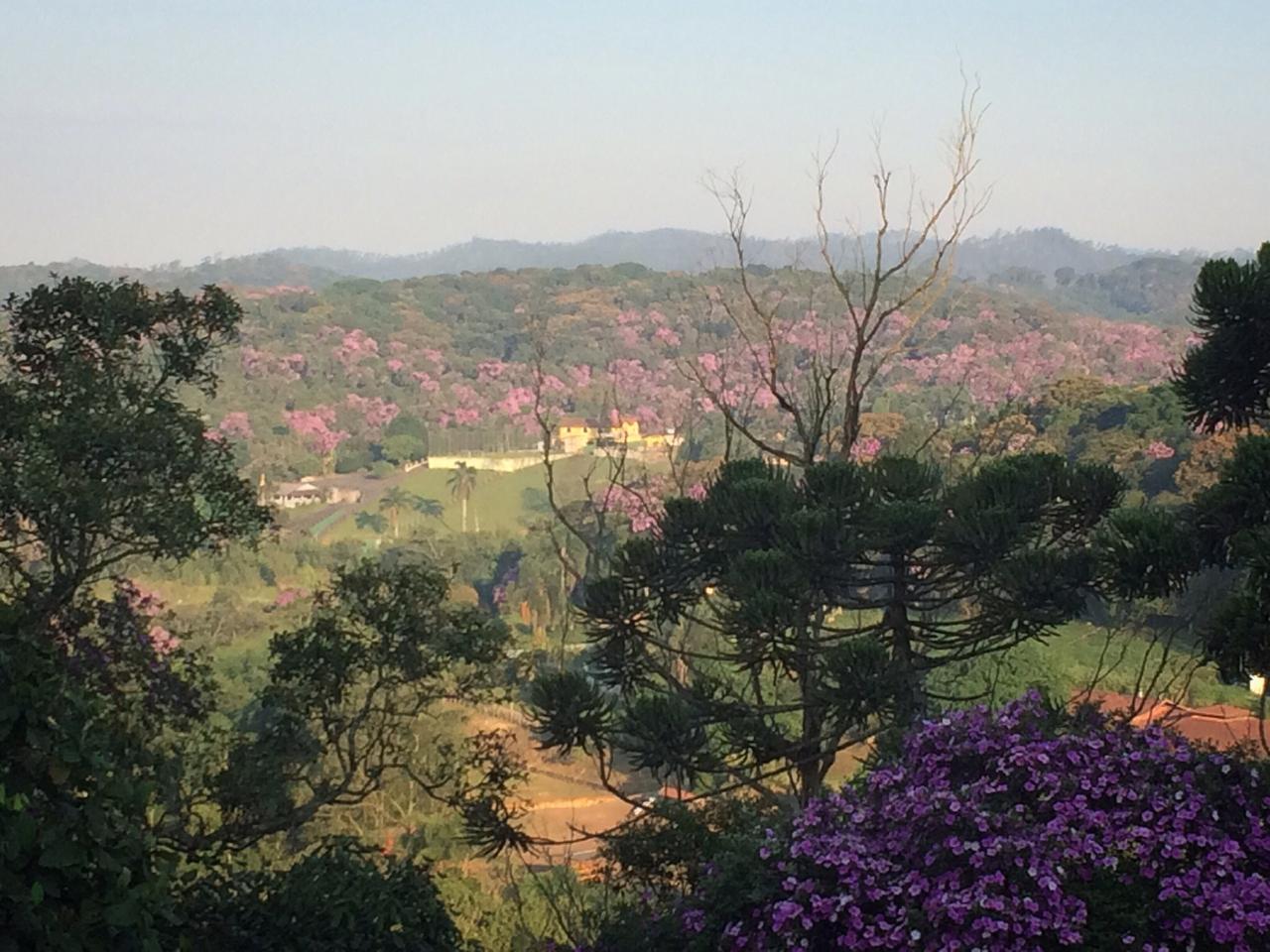 Fazenda à venda com 2 quartos, 1890m² - Foto 16