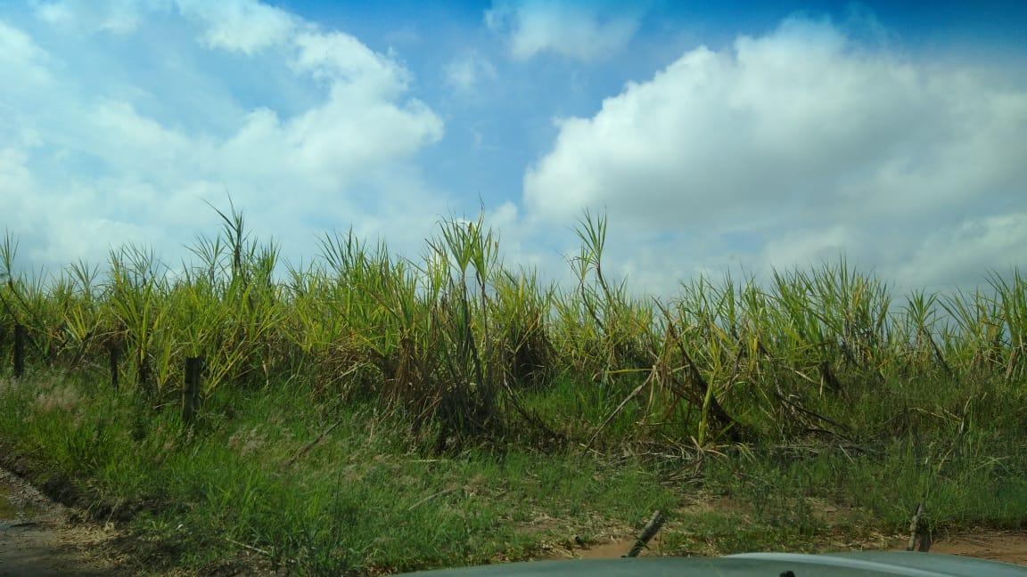 Fazenda à venda - Foto 3