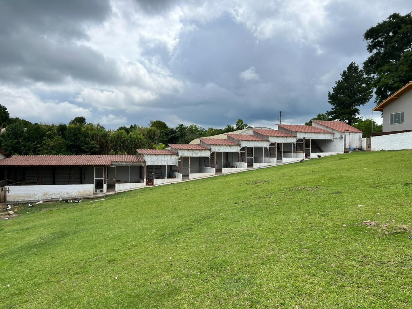 Fazenda à venda, 24200m² - Foto 15