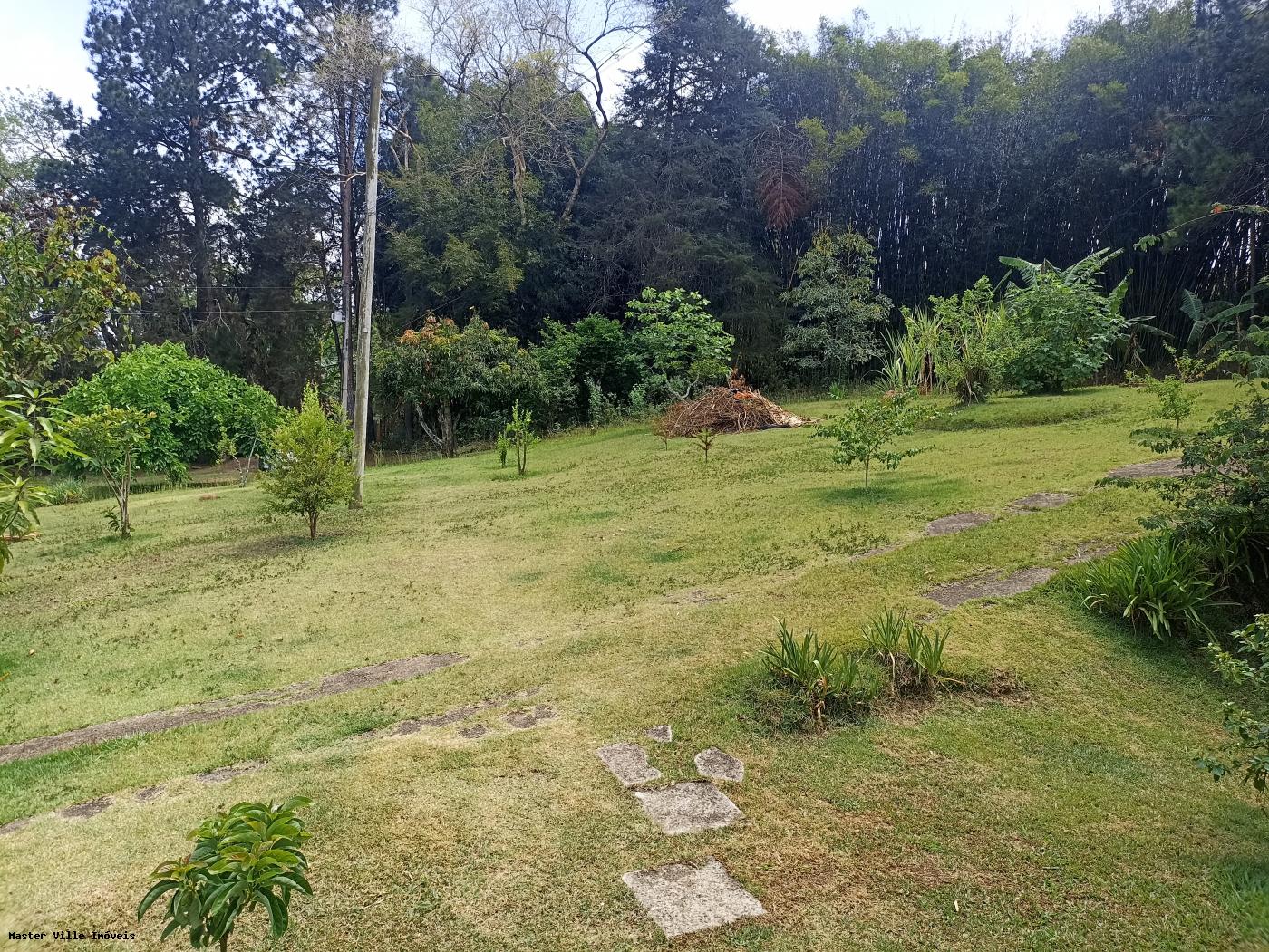 Fazenda à venda com 3 quartos, 11000m² - Foto 32