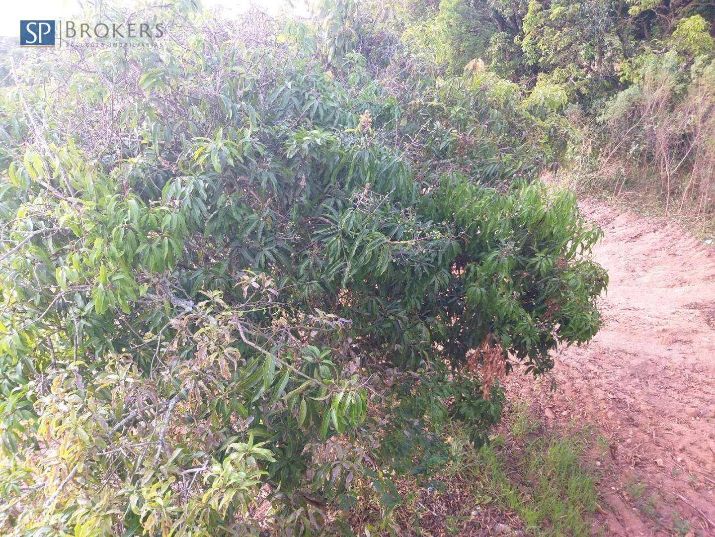 Loteamento e Condomínio à venda, 604M2 - Foto 4