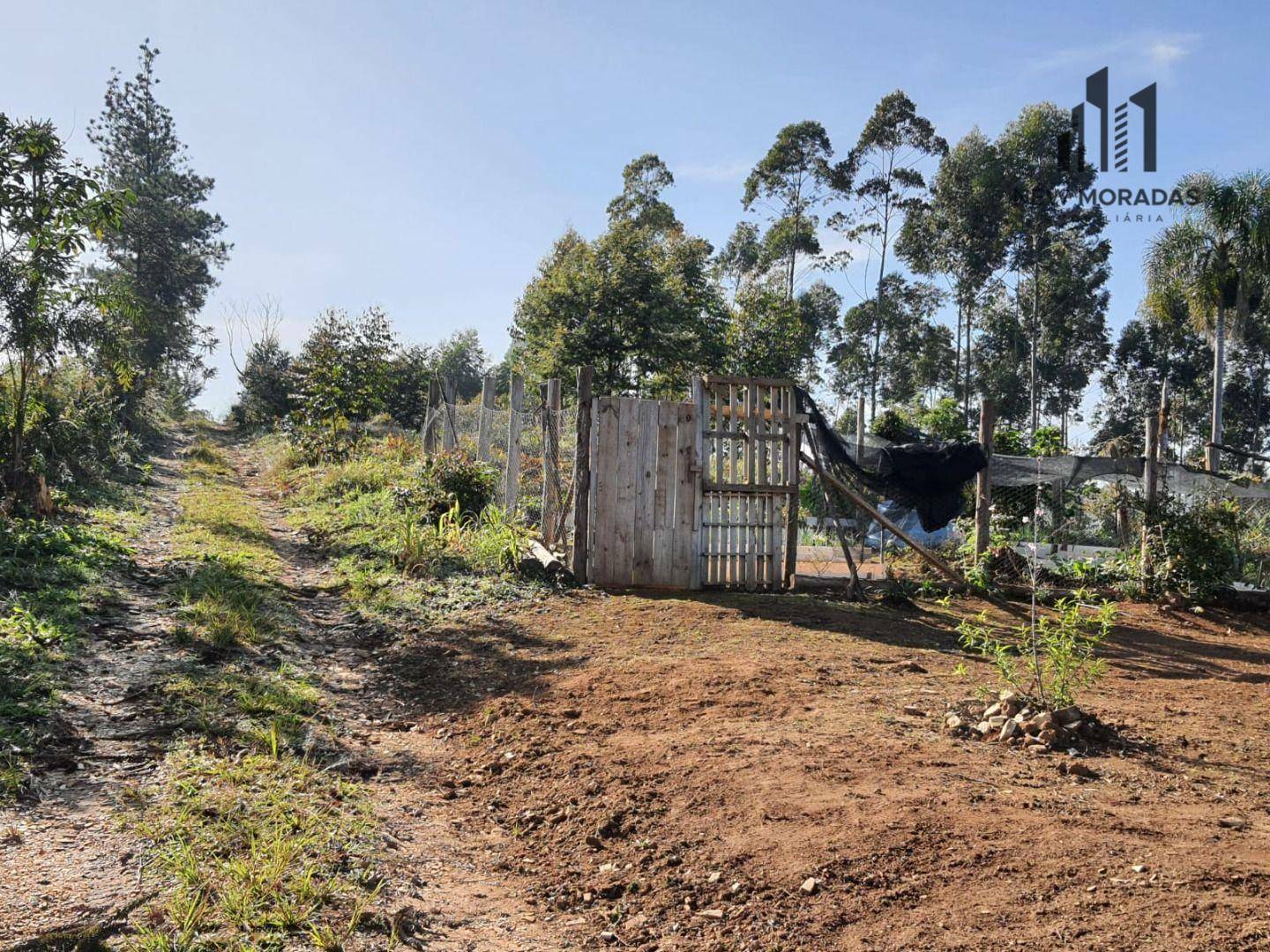 Chácara à venda com 2 quartos, 48400M2 - Foto 8