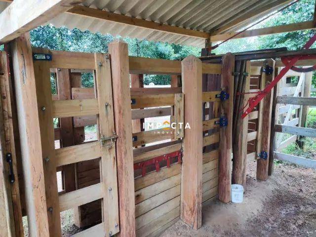Sítio à venda com 2 quartos, 60500M2 - Foto 7