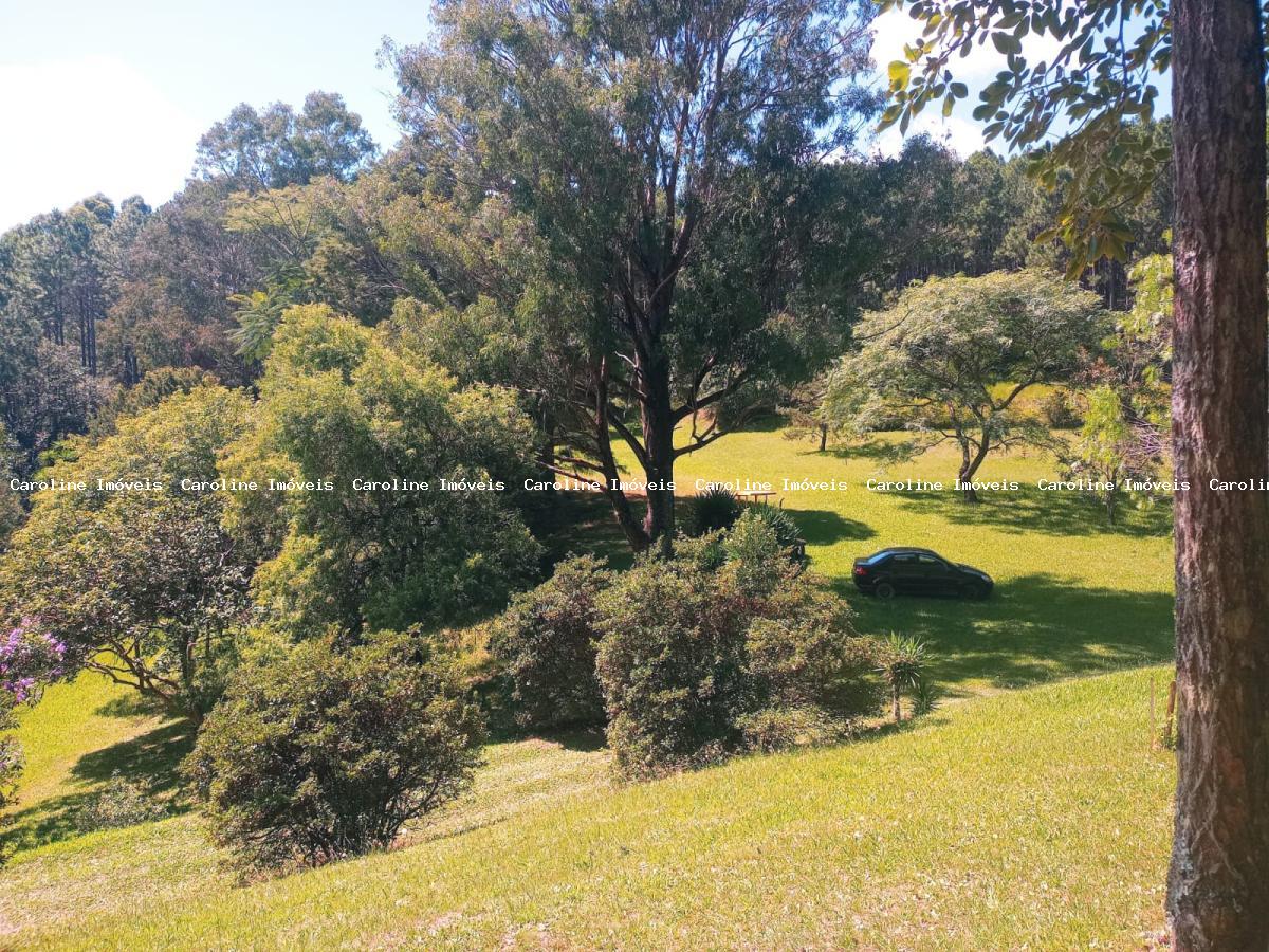 Fazenda à venda com 7 quartos, 800000m² - Foto 12