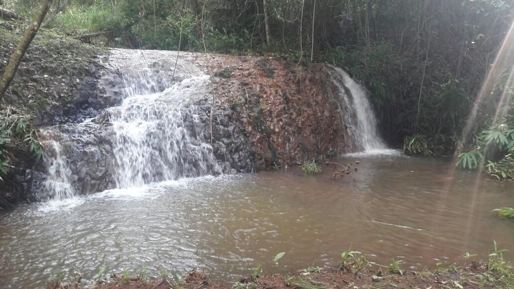 Chácara à venda com 4 quartos, 450m² - Foto 15