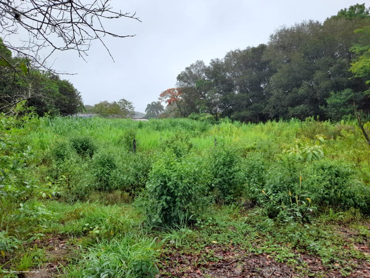 Fazenda à venda com 2 quartos, 61000m² - Foto 6