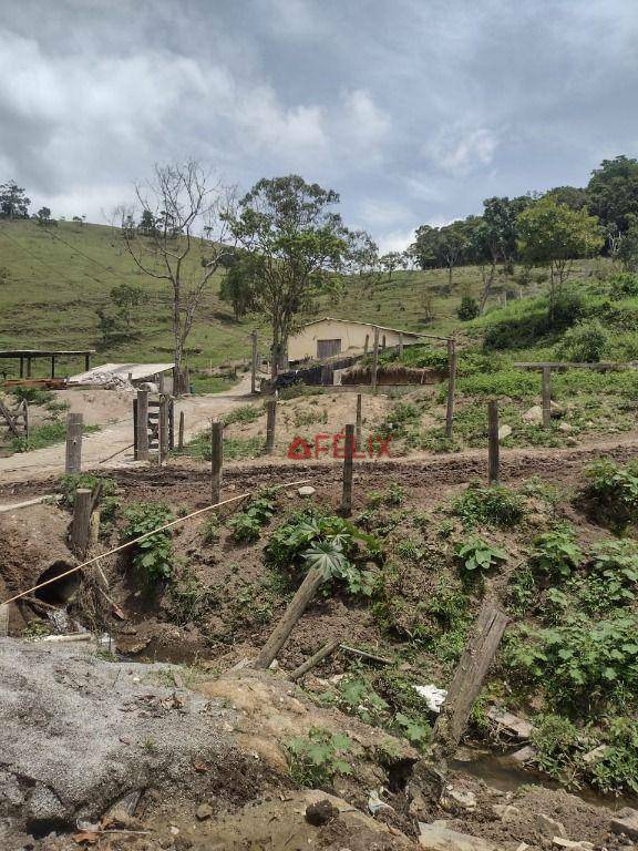 Fazenda à venda com 3 quartos, 1400000M2 - Foto 8