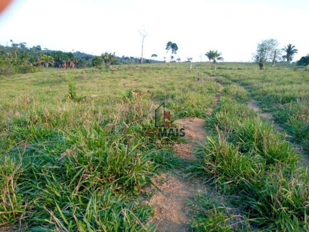 Fazenda-Sítio-Chácara, 600 hectares - Foto 4