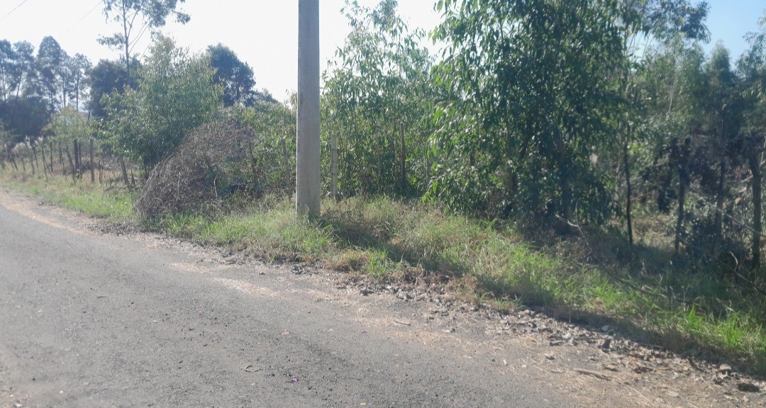 Chácara à venda, 5000m² - Foto 7