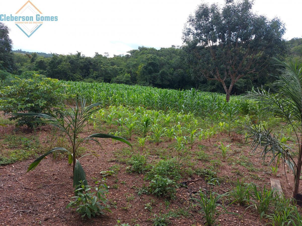 Fazenda à venda com 3 quartos, 1m² - Foto 21